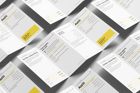 DL Four Panel Accordion Flyer Mockup