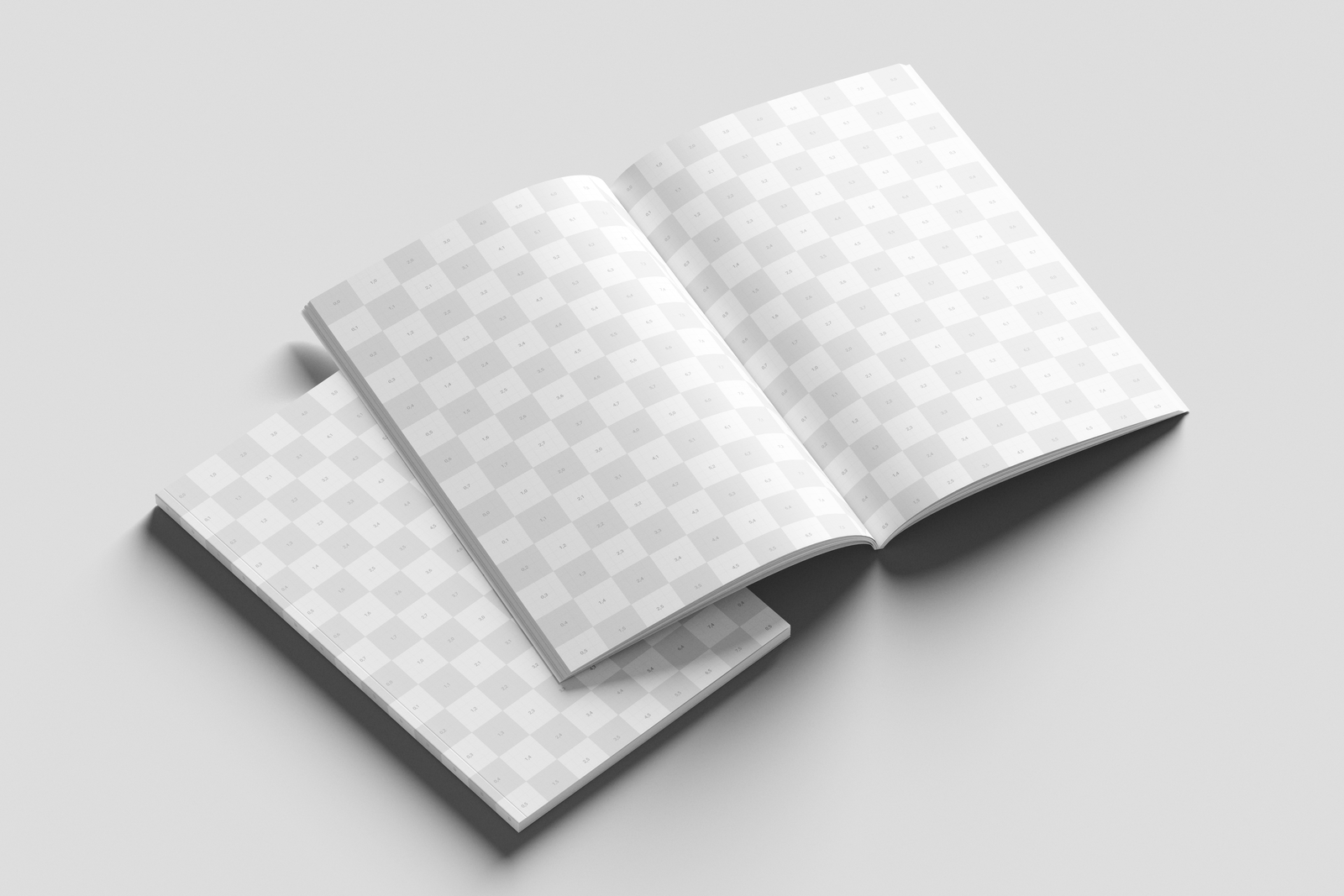 Tabloid Print Magazine Mockup