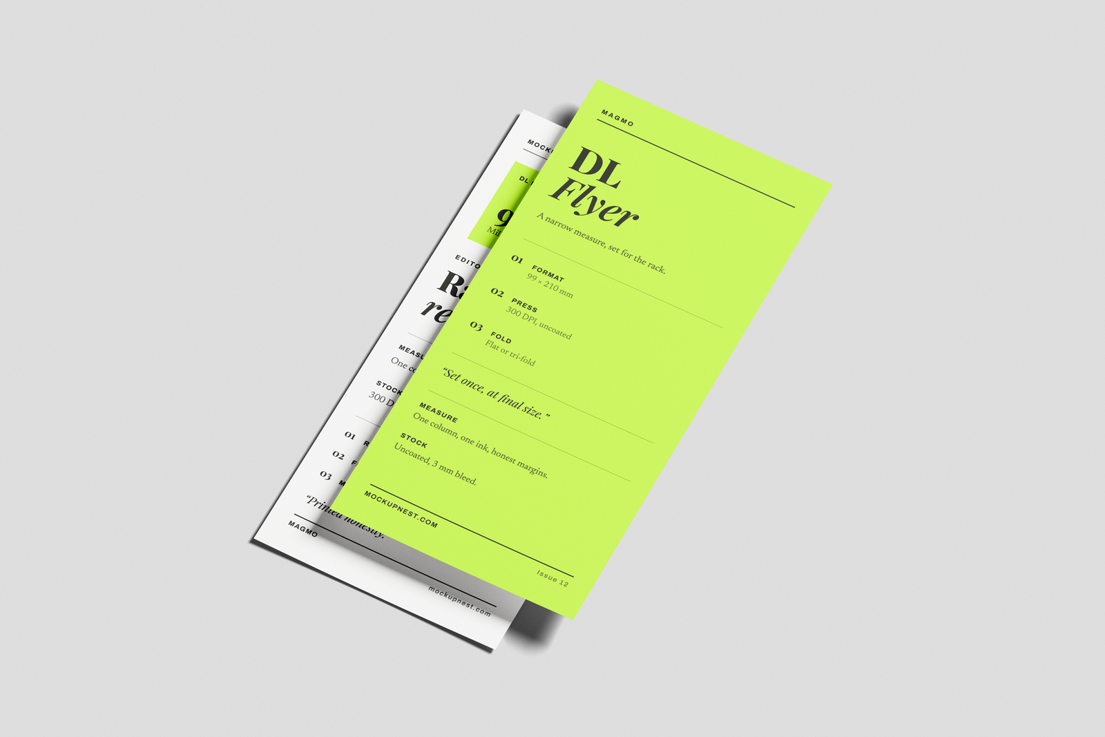 DL Pamphlet Mockup Angled View