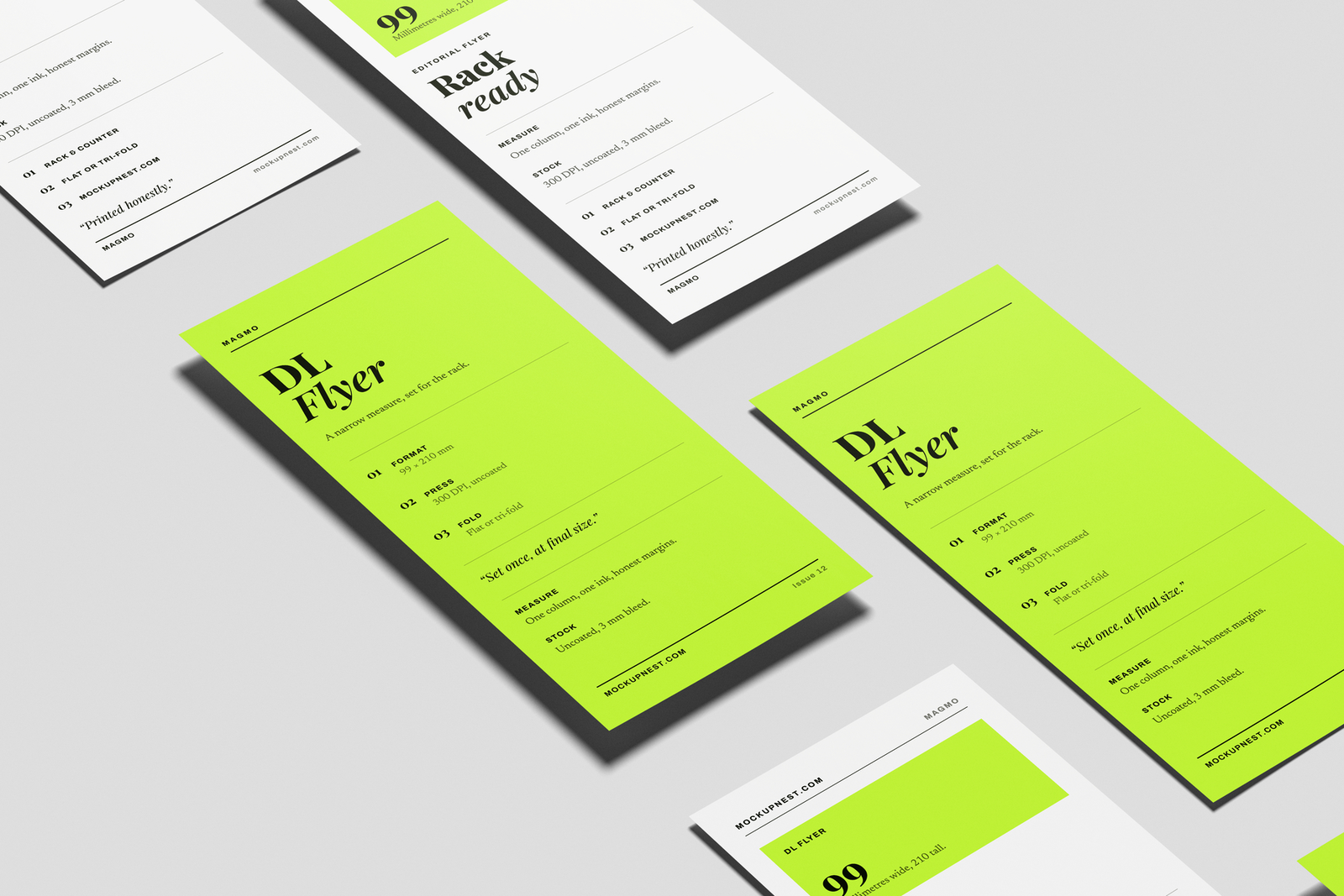 DL Flyer Mockup On Surface