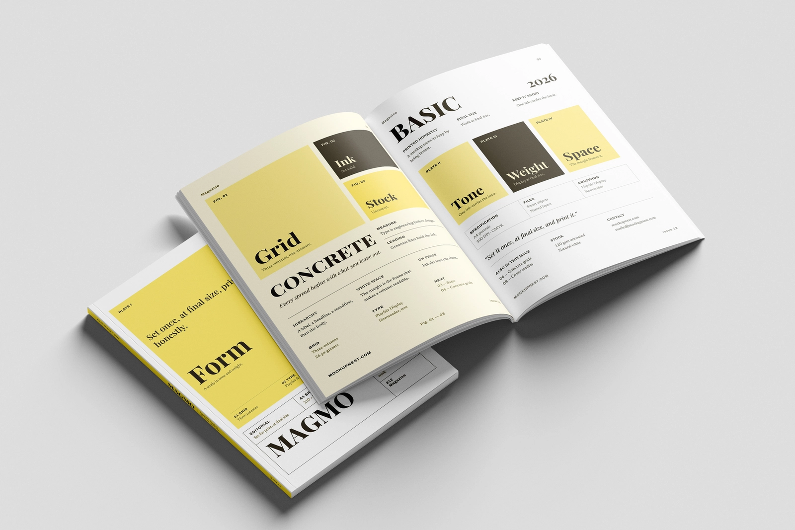 EU Magazine Mockup