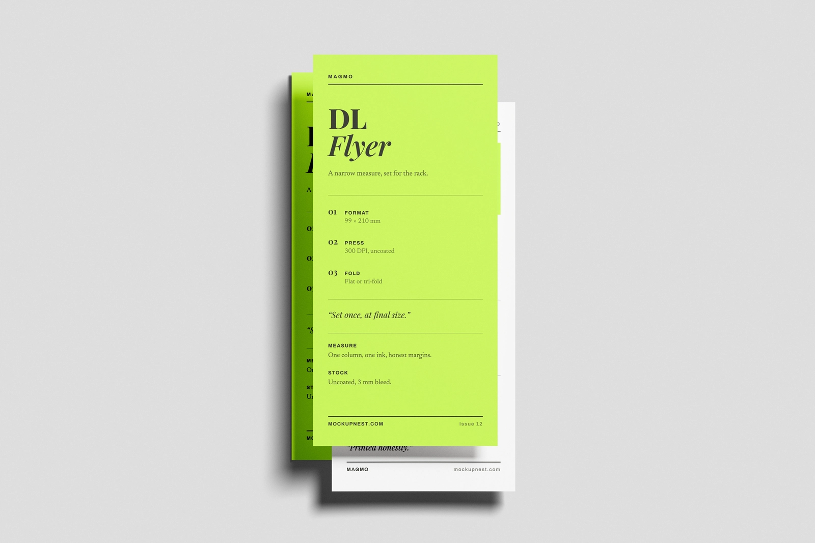 DL Leaflet Mockup