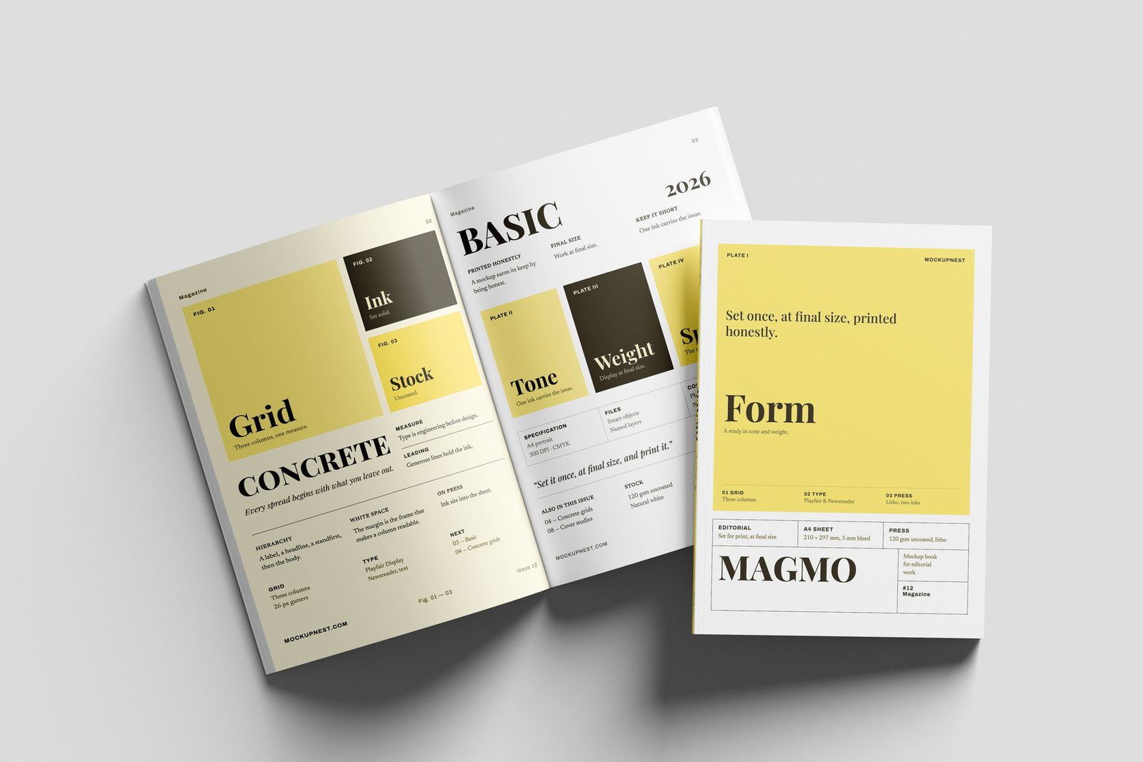 Free EU Magazine Mockup Clean Background