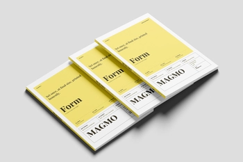 EU Magazine Mockup Minimal Background