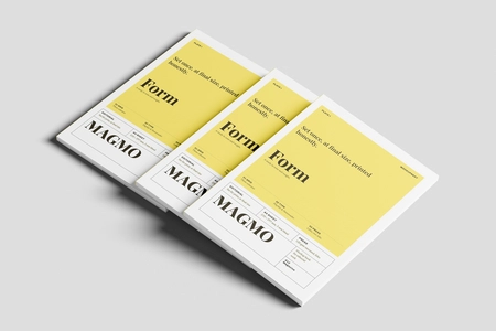 EU Magazine Mockup Stacked