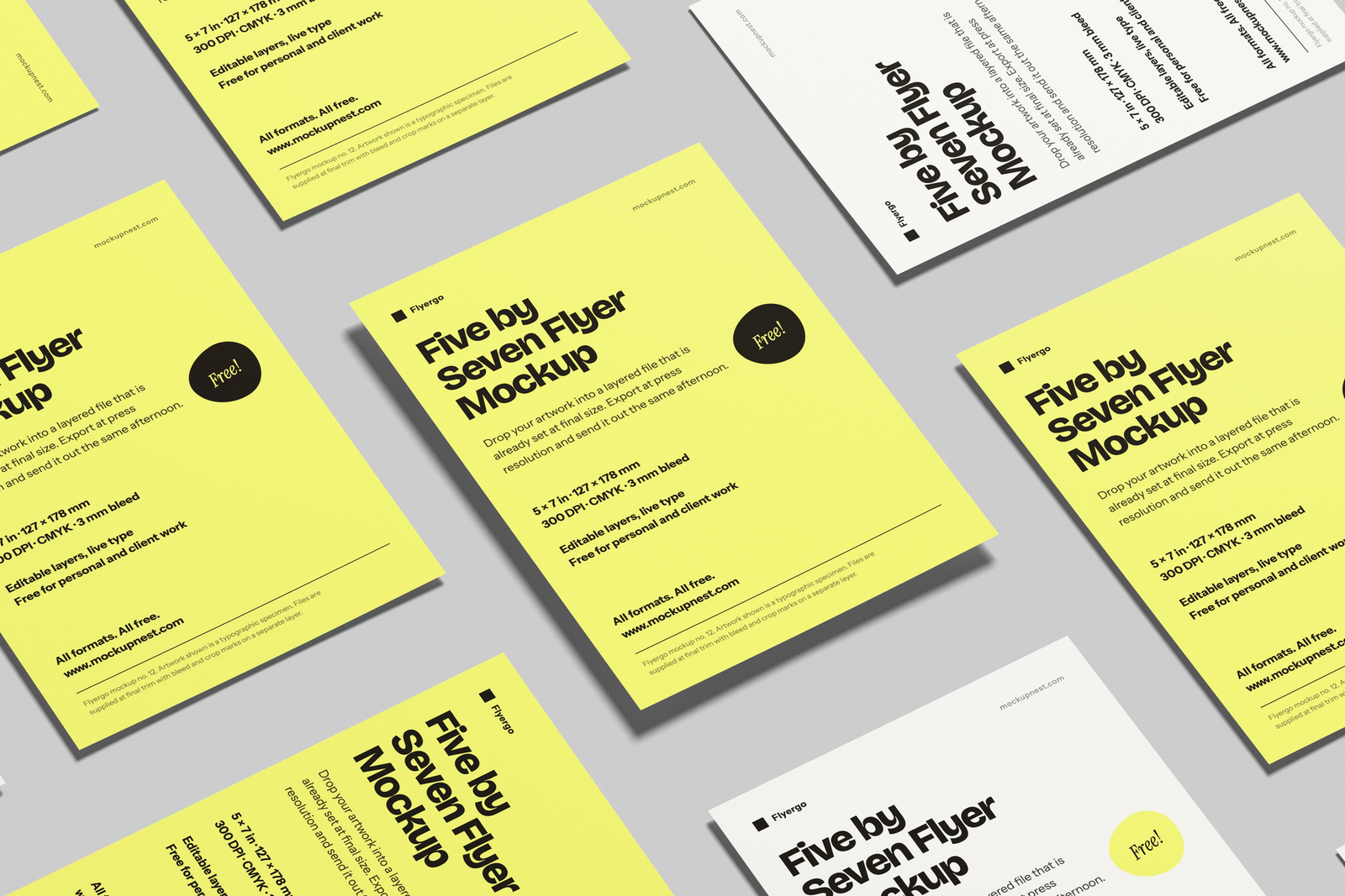 5×7 Leaflet Mockup