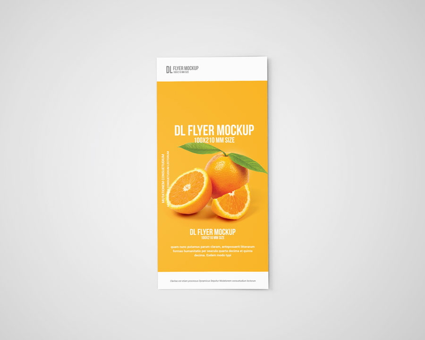 DL Flyer Mockups