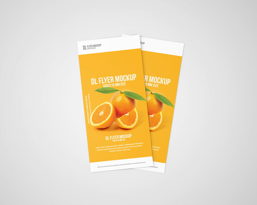 DL Flyer Mockups