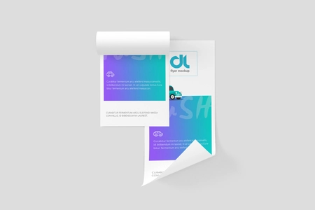 DL Flyer Mockup