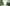 Low Quality Placeholder
