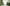 Low Quality Placeholder