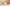 Low Quality Placeholder