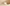 Low Quality Placeholder