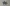 Low Quality Placeholder
