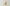 Low Quality Placeholder