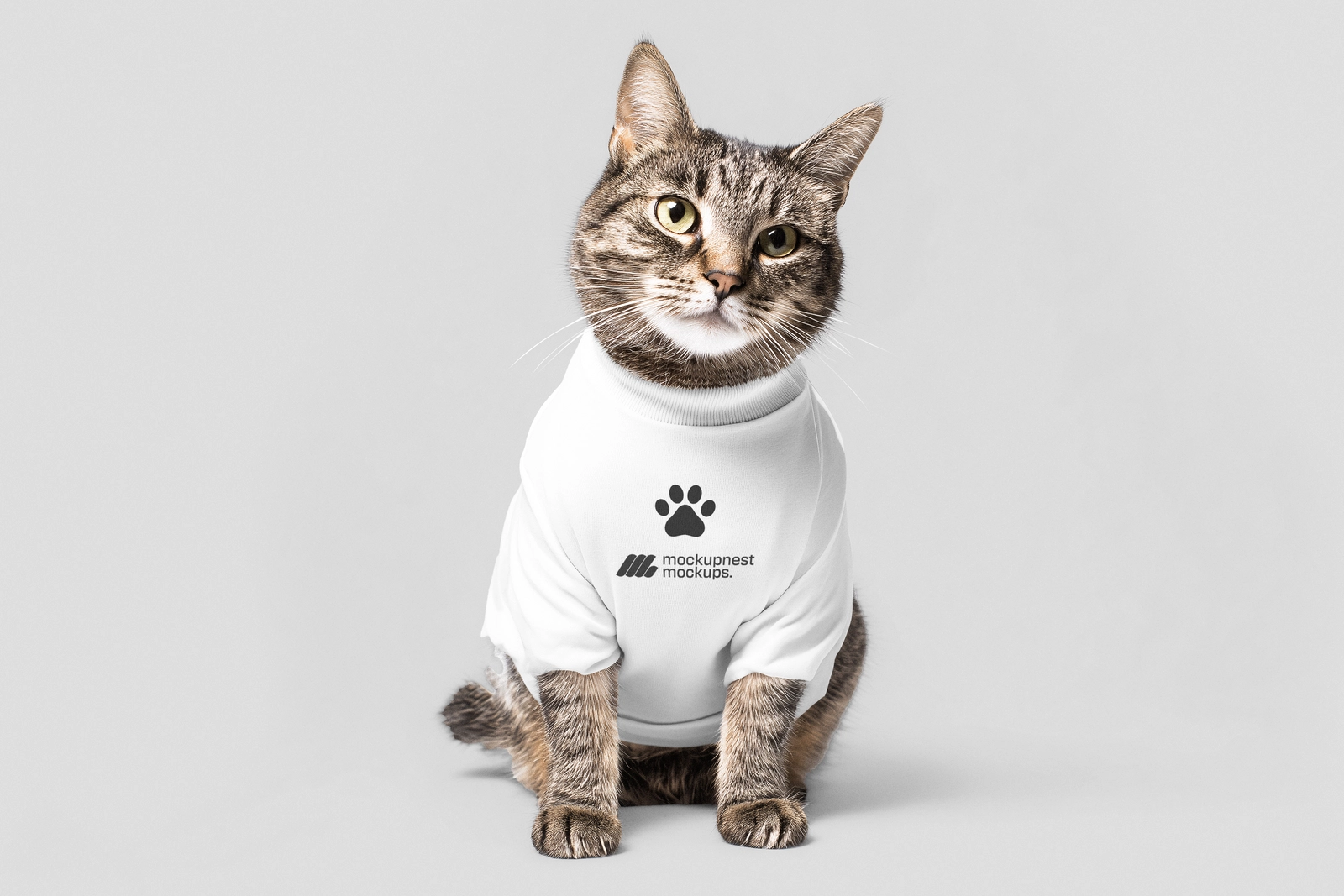 Cat T Shirt Mockup Front View on Clean Background