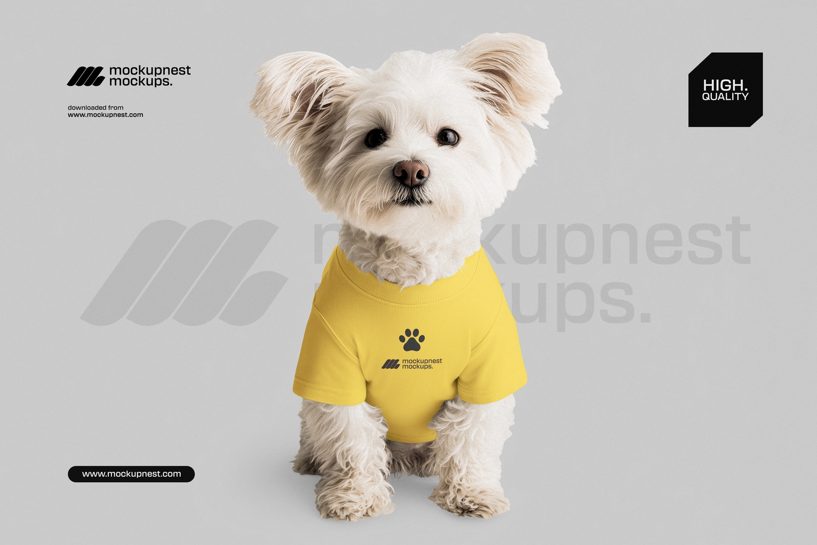Pet Dog T Shirt Mockup in Clean Studio Background