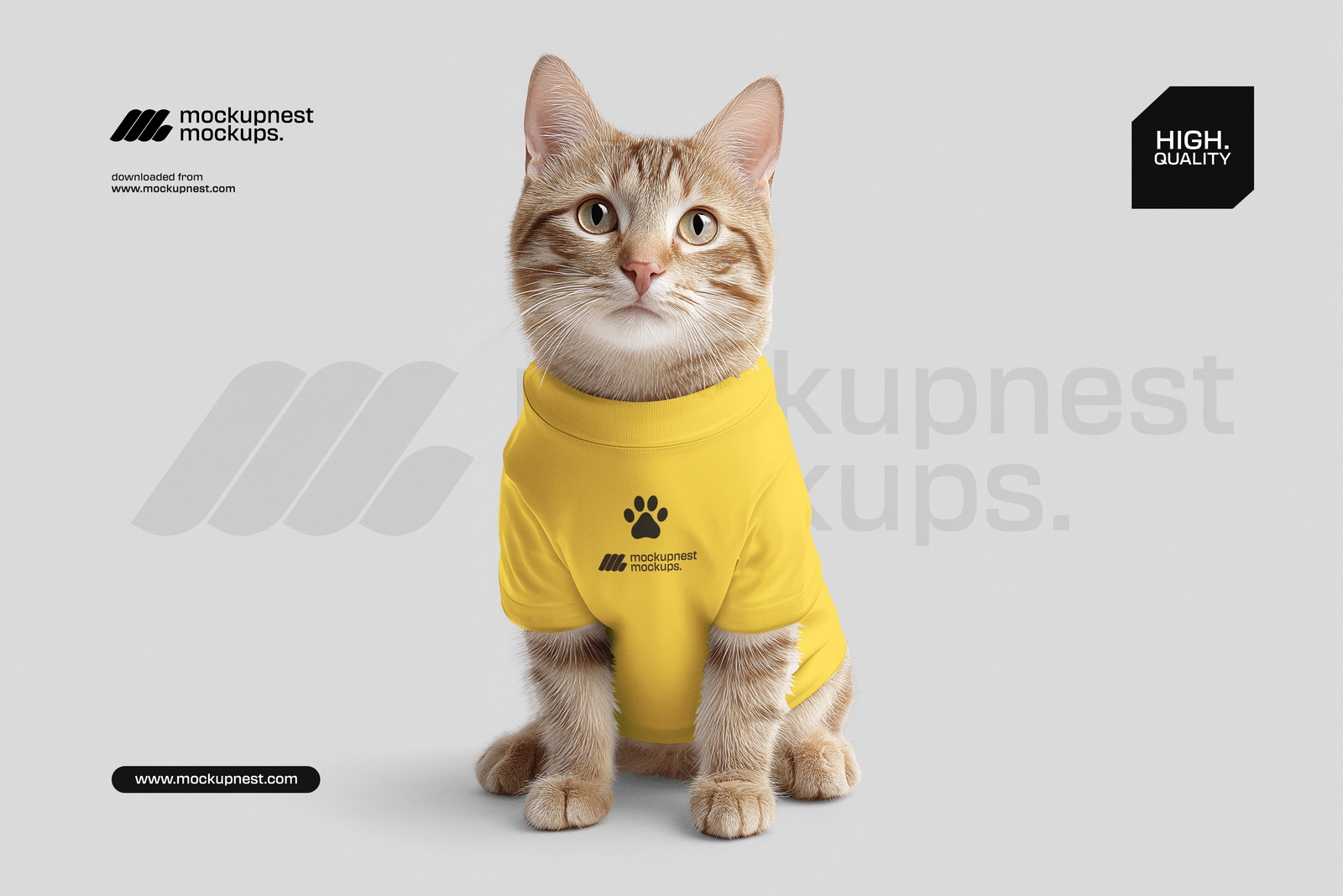 Pet Cat Clothing Mockup in Front Facing View