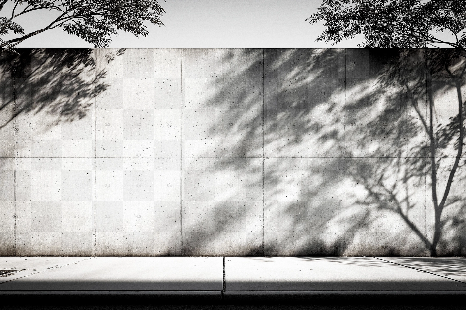 Free Concrete Wall Branding Mockup