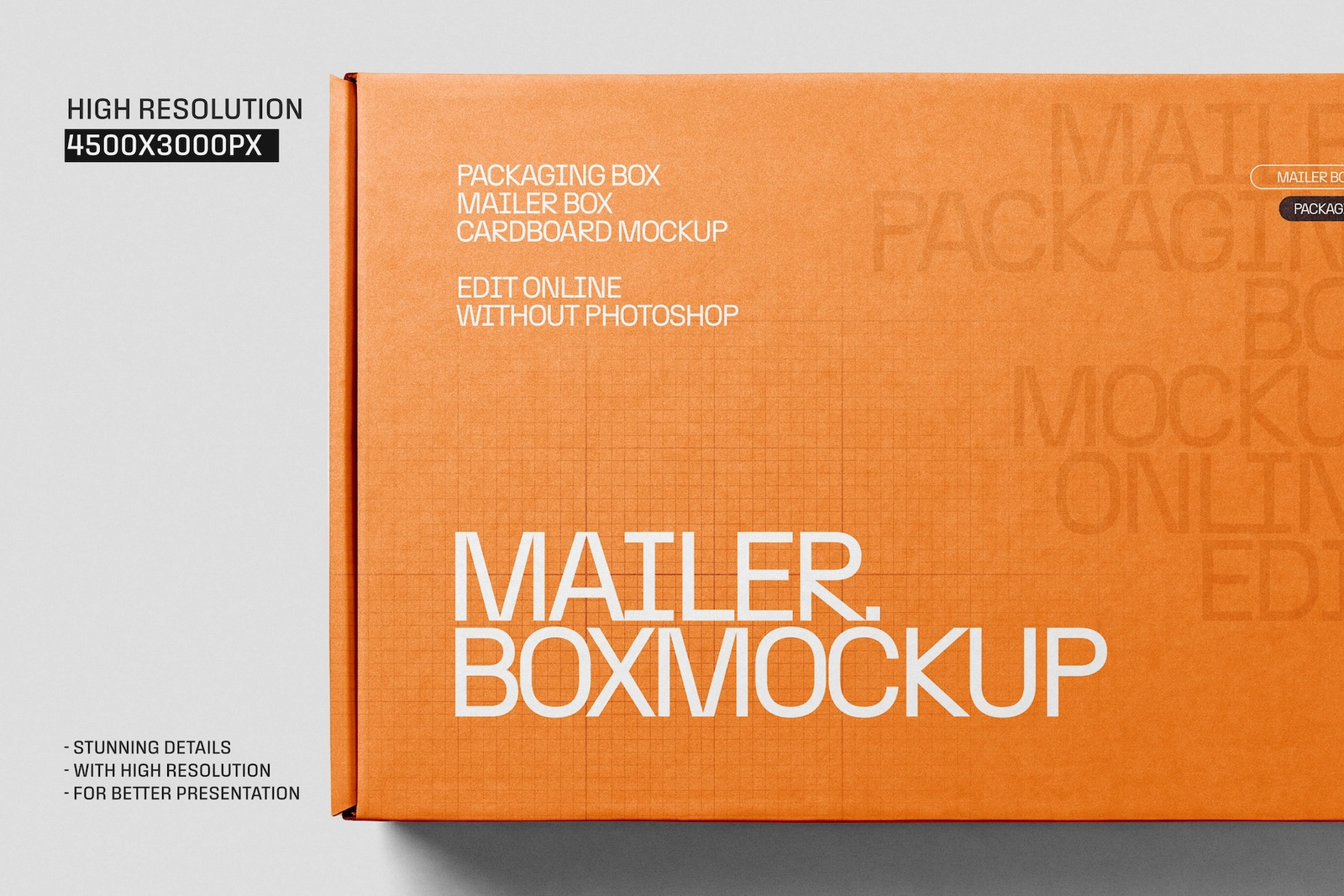 Mailer Box Packaging Mockup