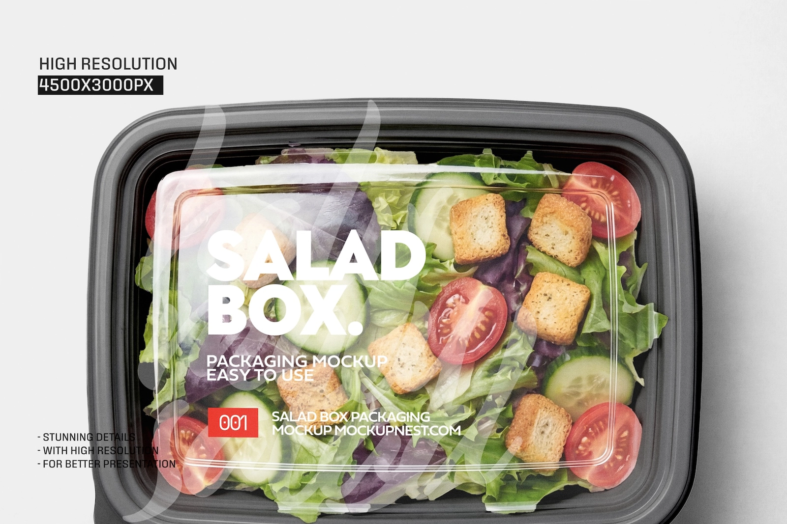 Rectangle Salad Box Label Mockup