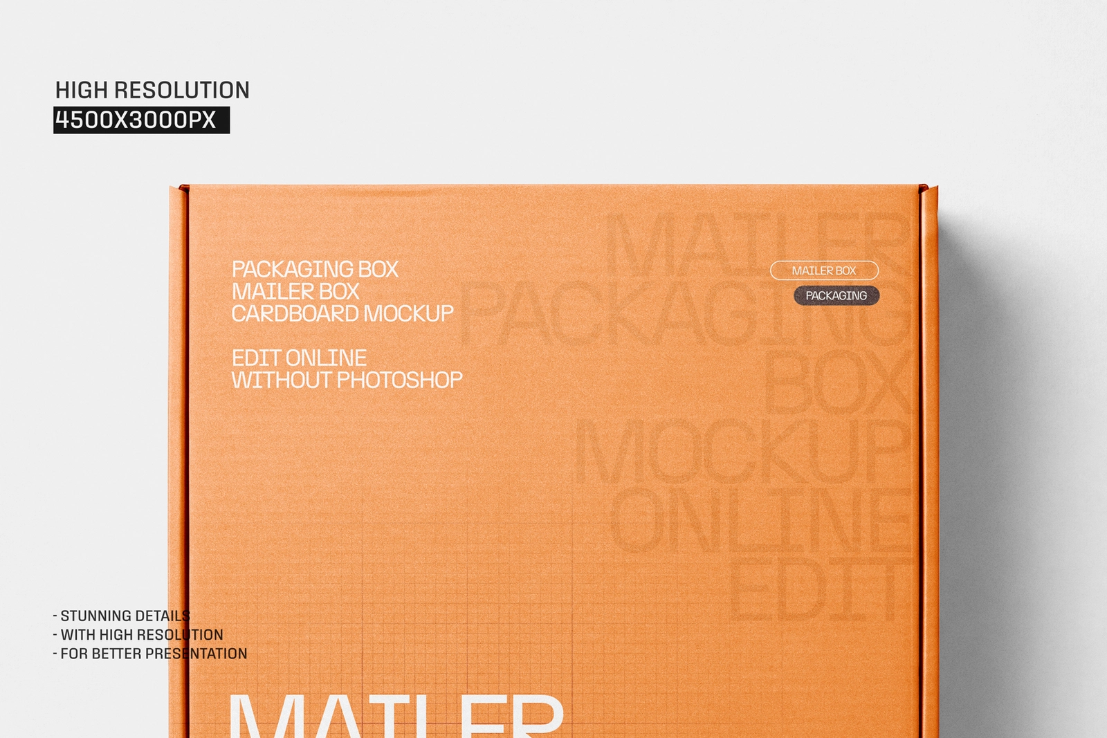 Square Mailer Box Packaging Mockup