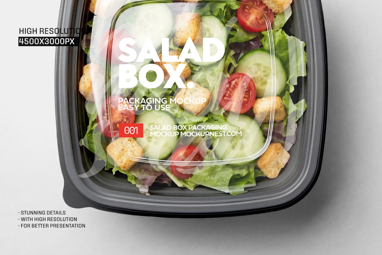 Square Salad Box Label Mockup
