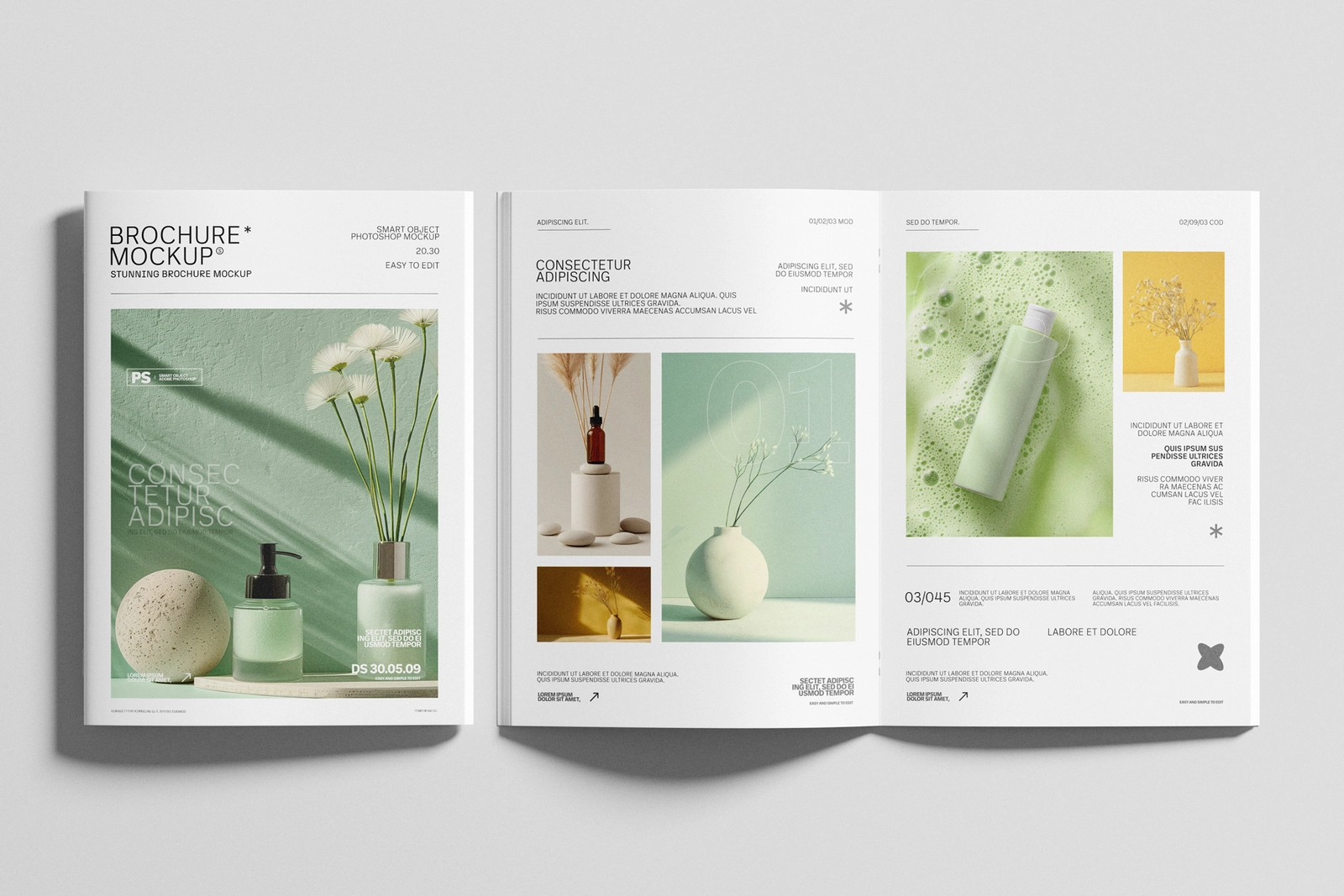 A4 Brochure Mockup with Cover and Spread