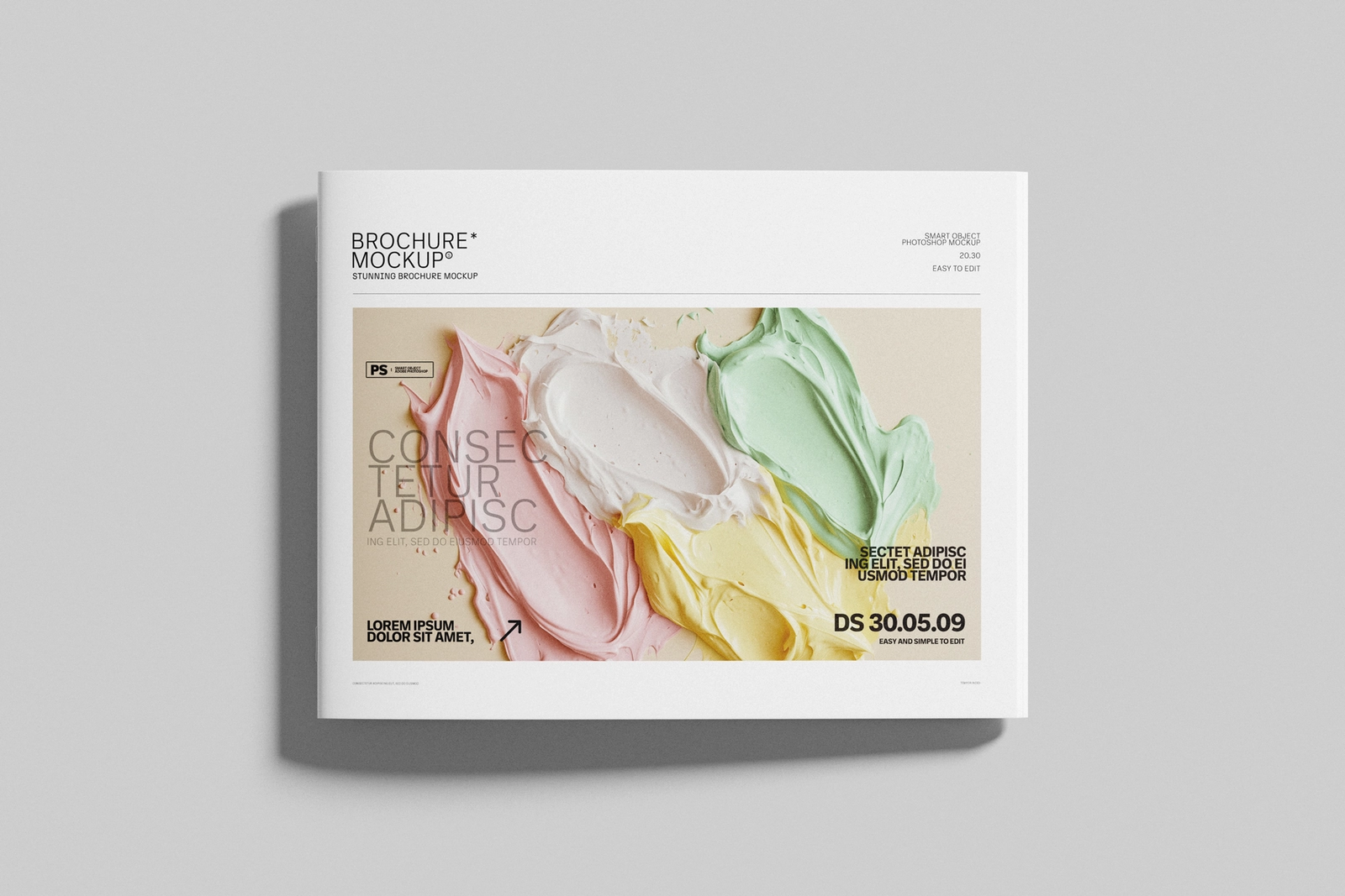 Free Top View US Letter Landscape Brochure Cover Mockup Display
